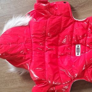 Puppy winter Coat